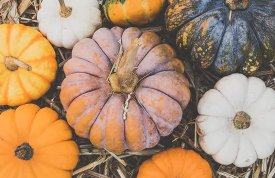 Different pumpkins arranged together