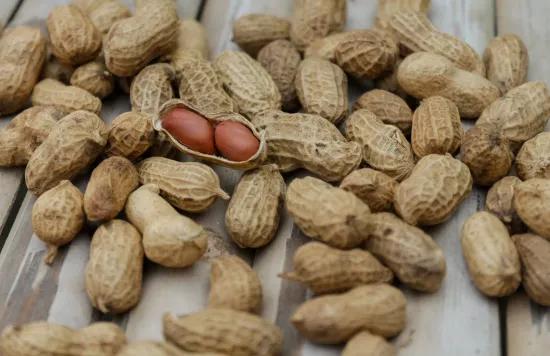 Shelled peanuts highlighting allergy risk