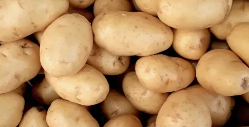 Common Foods That Can Become Dangerous If They Go Bad