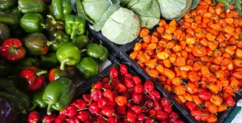 How to Address a Food Recall