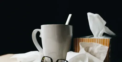 How to Prevent the Cold or Flu From Overtaking Your Restaurant