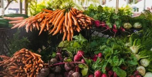 Mastering Food Safety: Becoming a Texas Certified Food Handler