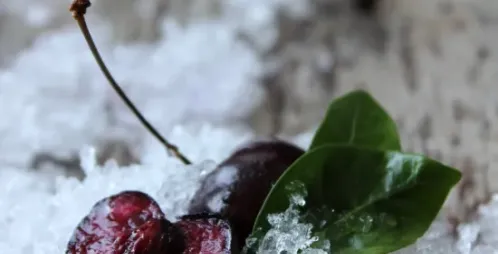Tips for Safely Defrosting Frozen Food
