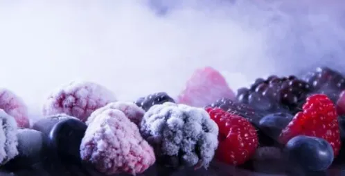 Has Your Food Been Frozen for Too Long?