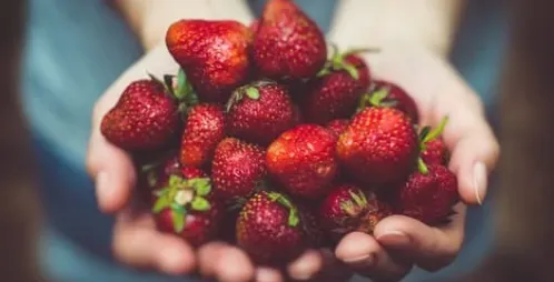 Prevent The Spreading of Common Illnesses | Food Industry Tips