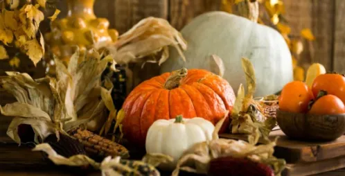 How to Prepare Your Diners for Potential Food Allergies This Fall