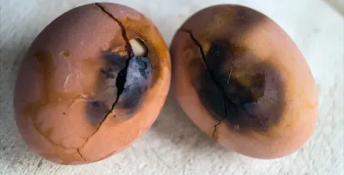 What Foods Should You Never Eat After an Expiration Date?