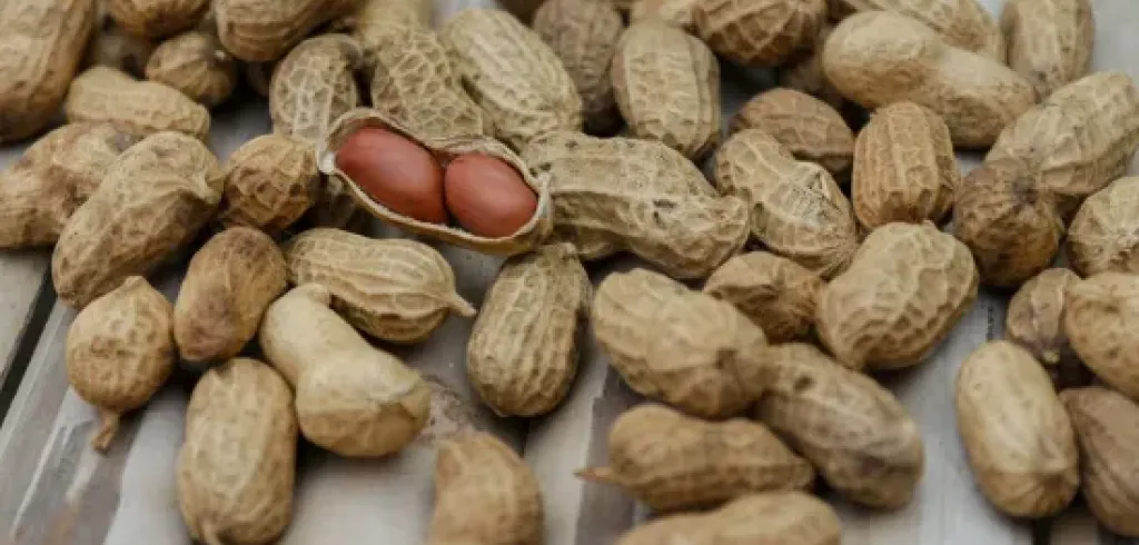 The Certified On The Fly Guide to Food Allergies