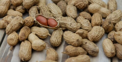 shelled peanuts